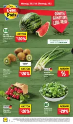 Gazetka promocyjna Lidl - Aktionsprospekt - Gazetka - ważna od 28.05 do 28.05.2022 - strona 2 - produkty: Abtei, aktionspreis, angebot, bio, discount, eis, feldsalat, frucht, früchte, kiwi, Lauchzwiebel, lauchzwiebeln, magazin, melone, melonen, obst, radieschen, reis, salat, Ti, und gemüse, wasser, wassermelone, wassermelonen, zwiebel, zwiebeln