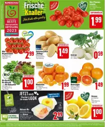 Gazetka promocyjna Edeka - Prospekte - Gazetka - ważna od 27.01 do 27.01.2024 - strona 4 - produkty: Abtei, ananas, bio, Blutorange, eis, kartoffel, kartoffeln, kohlrabi, mandarine, mandarinen, obst, orange, orangen, rispentomaten, speisekartoffeln, spinat, tee, Ti, tomate, tomaten, zitrone, zitronen