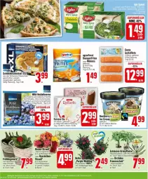 Gazetka promocyjna Edeka - Prospekte - Gazetka - ważna od 27.01 do 27.01.2024 - strona 6 - produkty: agrarfrost, auer, Becher, beere, beeren, beutel, Blüte, braten, deka, eier, eis, ferrero, filet, filets, früchte, heidelbeere, heidelbeeren, iglo, korb, Kraut, lachs, lachsfilet, lachsfilets, monster, Monstera, Narzissen, natur, natura, orchidee, Primeln, rosen, Schal, Schale, schnitten, schnitzel, schwein, schweine, schweineschnitzel, spinat, Ti, tisch, topf, wein, weine, Wild, zucker