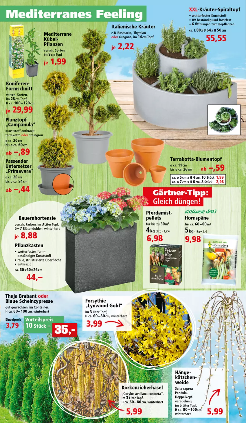 Aktueller Prospekt Thomas Philipps - FrÃ¼hlingsangebote entdecken - von 04.04 bis 30.04.2022 - strona 3 - produkty: auer, Bau, Bauer, Blüte, Campanula, Cap, Container, eis, elle, erde, heinz, hortensie, Kätzchen, Konifere, kräuter, Pellets, pflanze, pflanzen, Pflanzkasten, reis, rosmarin, topf