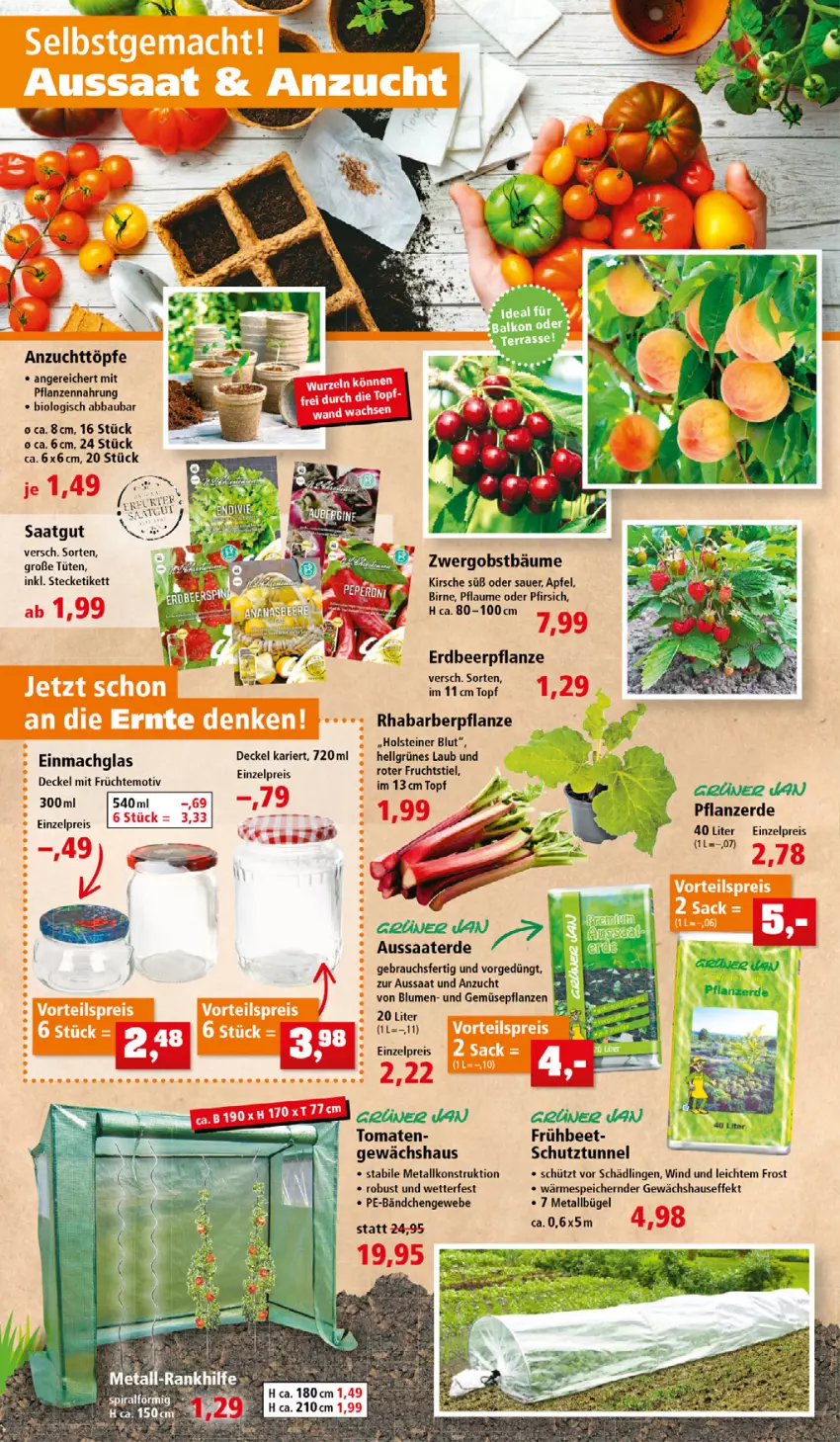 Aktueller Prospekt Thomas Philipps - FrÃ¼hlingsangebote entdecken - von 04.04 bis 30.04.2022 - strona 4 - produkty: Abba, apfel, auer, Bau, bio, blume, blumen, bügel, decke, Deckel, eis, Erdbeerpflanze, erde, frucht, früchte, Gewächshaus, grüner jan, holsteiner, kirsch, kirsche, LG, obst, pfirsich, pflanze, pflanzen, pflanzerde, pflaume, Rauch, reis, rhabarber, steiner, Ti, tomate, tomaten, topf, Tüte, und gemüse