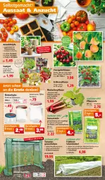 Gazetka promocyjna Thomas Philipps - FrÃ¼hlingsangebote entdecken - Gazetka - ważna od 30.04 do 30.04.2022 - strona 4 - produkty: Abba, apfel, auer, Bau, bio, blume, blumen, bügel, decke, Deckel, eis, Erdbeerpflanze, erde, frucht, früchte, Gewächshaus, grüner jan, holsteiner, kirsch, kirsche, LG, obst, pfirsich, pflanze, pflanzen, pflanzerde, pflaume, Rauch, reis, rhabarber, steiner, Ti, tomate, tomaten, topf, Tüte, und gemüse