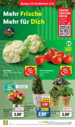 Gazetka promocyjna Lidl - Aktionsprospekt - Gazetka - ważna od 16.12 do 16.12.2023 - strona 2 - produkty: angebot, auer, bio, blume, blumen, blumenkohl, coupon, eis, Grünpflanzen, heinz, korb, kulturtopf, ndk, pflanze, pflanzen, Rauch, reis, rosen, Rosenstrauß, Schal, Schale, strauchtomaten, Ti, tomate, tomaten, topf, übertopf