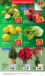 Gazetka promocyjna Lidl - Aktionsprospekt - Gazetka - ważna od 16.12 do 16.12.2023 - strona 3 - produkty: angebot, bio, Birnen, coupon, eis, frucht, LG, pflanze, pflanzen, reis, sac, salat, tee, tesa, Ti, topf, Weihnachtsstern, zitrone, zitronen, ZTE, zucker