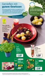 Gazetka promocyjna Lidl - Aktionsprospekt - Gazetka - ważna od 16.12 do 16.12.2023 - strona 7 - produkty: angebot, apfel, auer, bio, bioland, coupon, eis, kräuter, reis, resa, rotkohl, Ti, Tofu, tomate, tomaten, tomatenmark, topf, Topfkräuter, ZTE