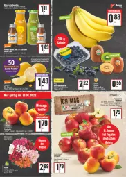 Gazetka promocyjna E Center - Angebote der Woche - Gazetka - ważna od 15.01 do 15.01.2022 - strona 2 - produkty: angebot, beere, beeren, beutel, blume, blumen, erde, flasche, heidelbeere, heidelbeeren, holsteiner, Rubin, Schal, Schale, smoothie, steiner, tafeläpfel, Ti, Wella