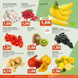 Gazetka promocyjna Real - Gazetka - ważna od 16.09 do 16.09.2023 - strona 5 - produkty: banane, bananen, beere, beeren, bio, bio-bananen, champignon, champignons, eis, Elan, himbeer, himbeere, himbeeren, kartoffel, kartoffeln, kiwi, Kürbis, LG, Romatomaten, Schal, Schale, speisekartoffeln, Ti, tomate, tomaten, trauben, zitrone, zitronen