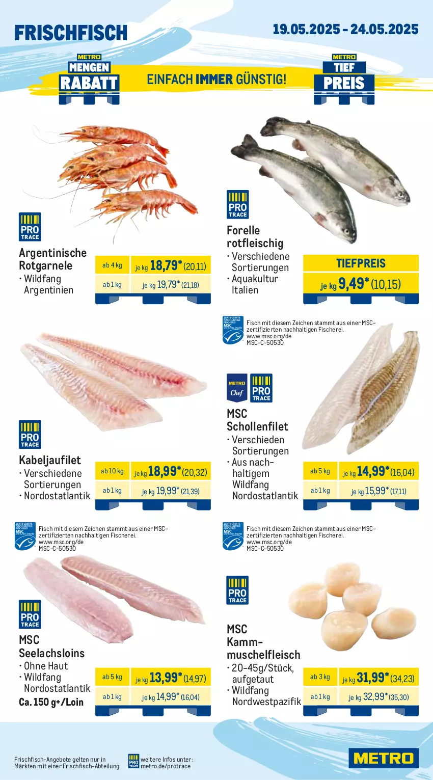 Aktueller Prospekt Metro - Wochen-Angebote - von 19.05 bis 24.05.2025 - strona 5 - produkty: Abtei, angebot, angebote, aqua, eis, elle, filet, fisch, fische, Fischer, fleisch, forelle, frischfisch, kabeljaufilet, lachs, Metro, reis, rel, Schere, scholl, Ti, tiefpreis, Wild