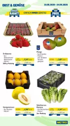 Gazetka promocyjna Metro - Wochen-Angebote - Gazetka - ważna od 24.05 do 24.05.2025 - strona 7 - produkty: beere, beeren, erdbeere, erdbeeren, honig, honigmelone, honigmelonen, mango, melone, melonen, obst, salat, salatherzen, Ti