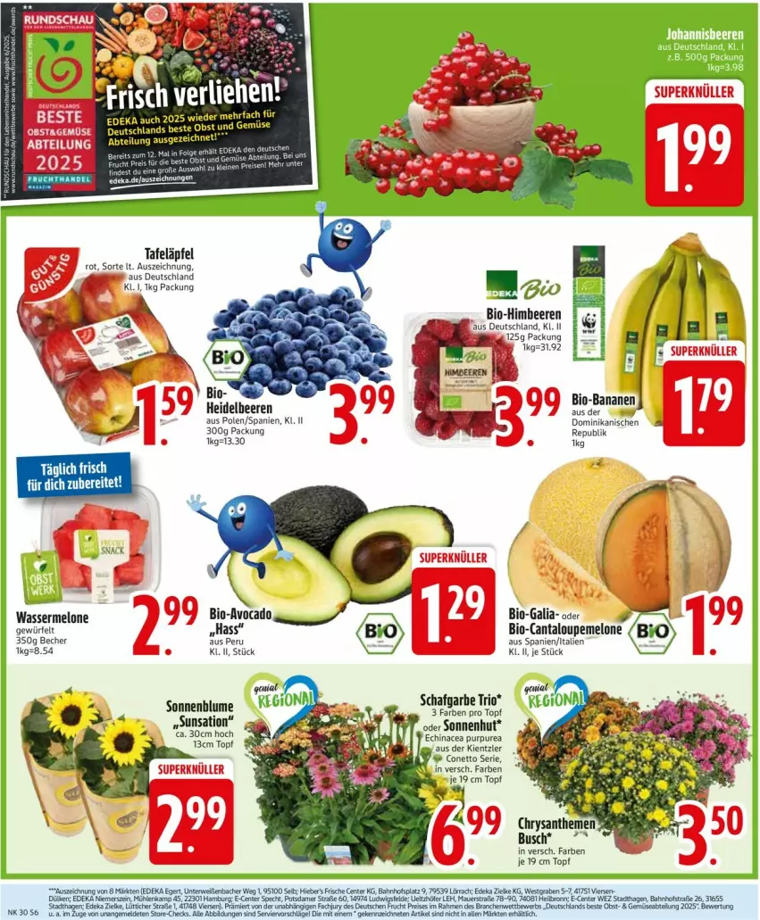 Aktueller Prospekt Edeka - Prospekte - von 21.07 bis 26.07.2025 - strona 8 - produkty: Abtei, auer, Becher, beere, beeren, bio, blume, deka, Echinacea, ente, frucht, heidelbeere, heidelbeeren, himbeer, himbeere, himbeeren, melone, obst, sonnenblume, specht, tafeläpfel, Ti, topf, wasser, wassermelone, würfel