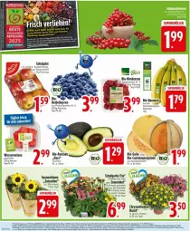 Gazetka promocyjna Edeka - Prospekte - Gazetka - ważna od 26.07 do 26.07.2025 - strona 8 - produkty: Abtei, auer, Becher, beere, beeren, bio, blume, deka, Echinacea, ente, frucht, heidelbeere, heidelbeeren, himbeer, himbeere, himbeeren, melone, obst, sonnenblume, specht, tafeläpfel, Ti, topf, wasser, wassermelone, würfel
