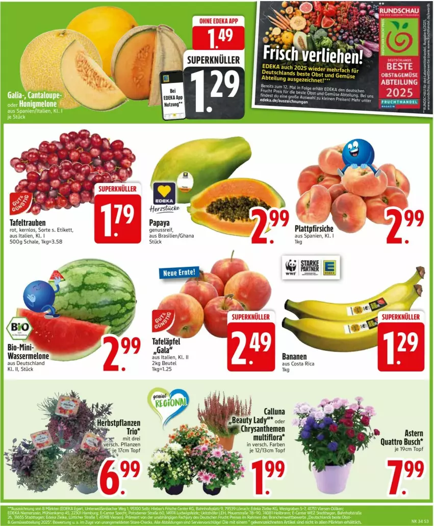 Aktueller Prospekt Edeka - Prospekte - von 18.08 bis 23.08.2025 - strona 5 - produkty: banane, bananen, beutel, bio, chrysanthemen, deka, melone, nuss, Papaya, pfirsich, pfirsiche, plattpfirsiche, Schal, Schale, tafeläpfel, tafeltrauben, Ti, topf, trauben, wasser, wassermelone