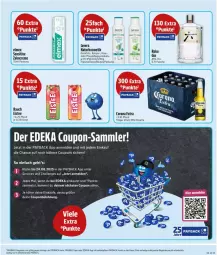 Gazetka promocyjna Edeka - Prospekte - Gazetka - ważna od 23.08 do 23.08.2025 - strona 7 - produkty: angebot, angebote, ball, beutel, corona, corona extra, coupon, coupons, creme, deka, eis, eistee, elmex, flasche, gin, kosmetik, lavera, LG, natur, naturkosmetik, payback, Rauch, tee, Ti, zahncreme