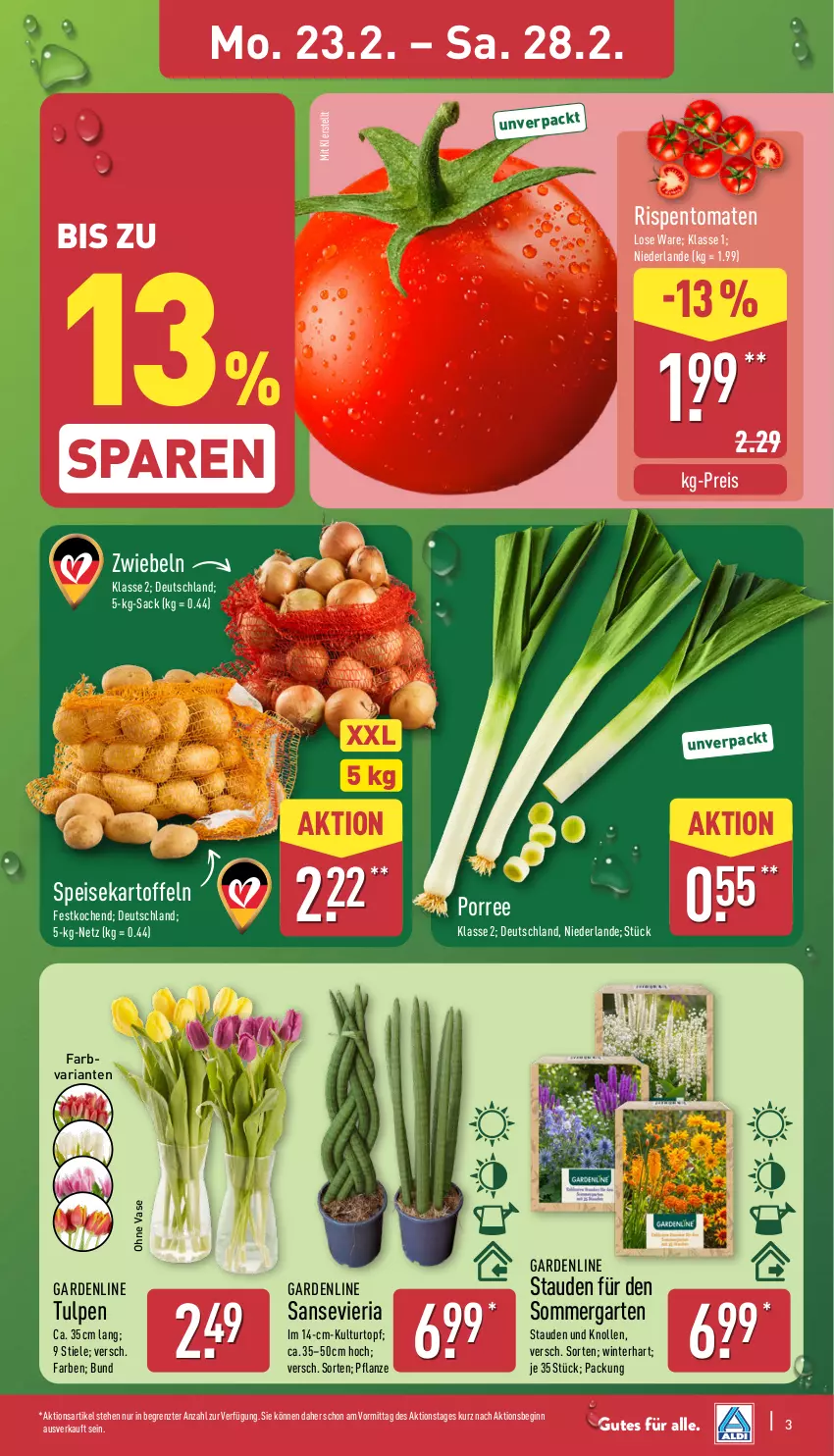 Aktueller Prospekt Aldi Nord - Von Montag - von 23.02 bis 28.02.2026 - strona 3 - produkty: eis, Garten, gin, kartoffel, kartoffeln, kulturtopf, pflanze, reis, Ria, rispentomaten, sac, speisekartoffeln, stauden, Ti, tomate, tomaten, topf, Vase, ZTE, zwiebel, zwiebeln