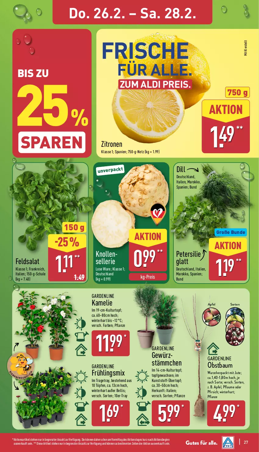 Aktueller Prospekt Aldi Nord - Von Montag - von 23.02 bis 28.02.2026 - strona 30 - produkty: aldi, apfel, Bau, eis, elle, feldsalat, gewürz, gin, kulturtopf, obst, petersilie, pfirsich, pflanze, pflaume, reis, salat, Schal, Schale, Ti, topf, übertopf, zitrone, zitronen, ZTE