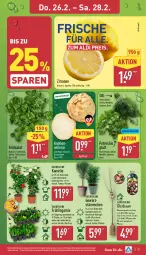 Gazetka promocyjna Aldi Nord - Von Montag - Gazetka - ważna od 28.02 do 28.02.2026 - strona 30 - produkty: aldi, apfel, Bau, eis, elle, feldsalat, gewürz, gin, kulturtopf, obst, petersilie, pfirsich, pflanze, pflaume, reis, salat, Schal, Schale, Ti, topf, übertopf, zitrone, zitronen, ZTE
