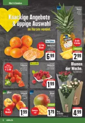 Gazetka promocyjna Edeka - Angebote der Woche - Gazetka - ważna od 07.10 do 07.10.2023 - strona 6 - produkty: aktionspreis, ananas, angebot, beutel, bio, blume, blumen, eis, mandarine, mandarinen, mango, nuss, obst, reis, Schal, Schale, Ti, topf, Tüte