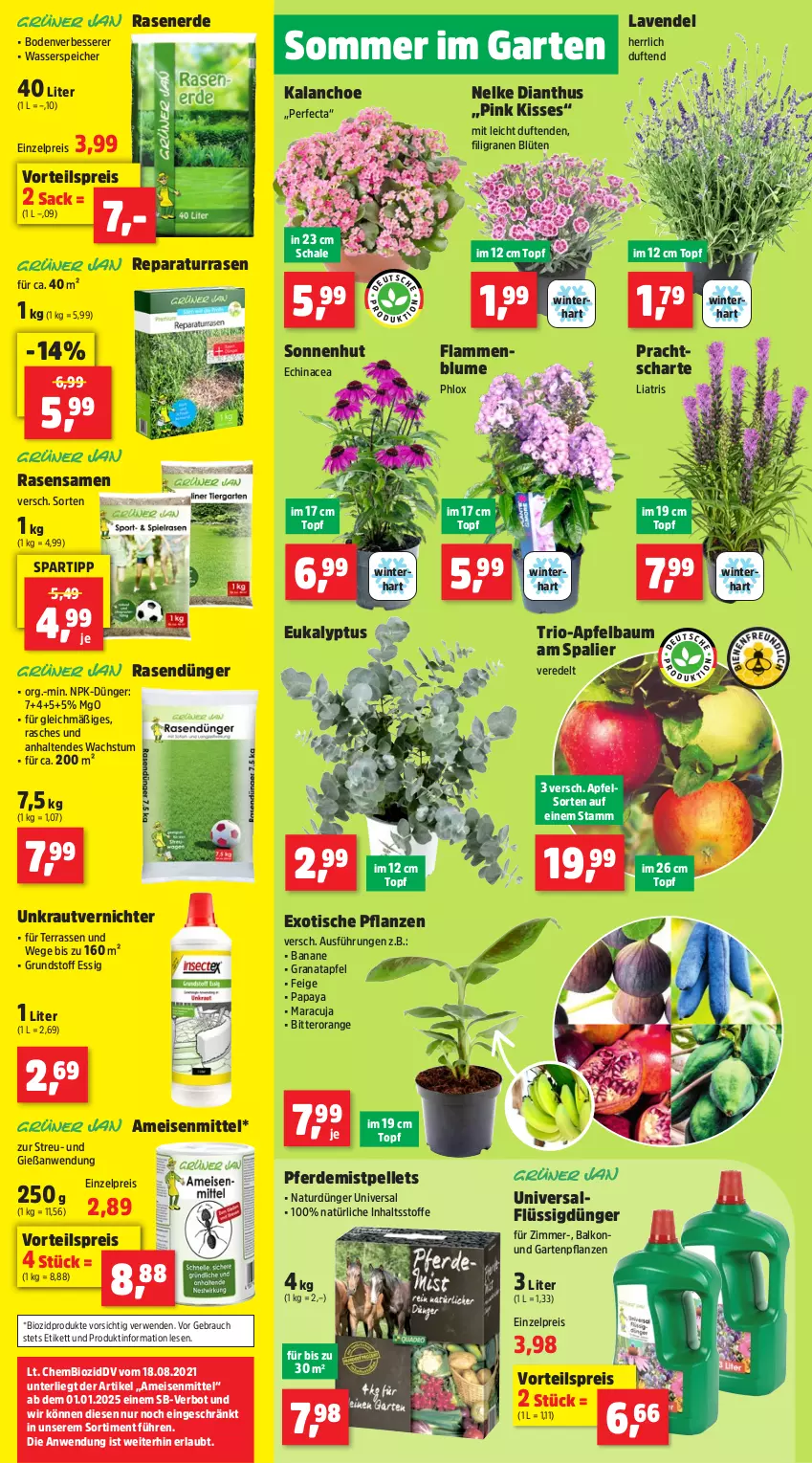 Aktueller Prospekt Thomas Philipps - von 15.07 bis 20.07.2024 - strona 2 - produkty: apfel, banane, Bau, bio, biozidprodukte, blume, Blüte, dünger, Echinacea, eis, elle, erde, essig, flüssigdünger, Garten, Gartenpflanze, grana, granatapfel, Kalanchoe, Kraut, lamm, lavendel, maracuja, natur, orange, Papaya, Pellets, pflanze, pflanzen, Rana, rasen, rasendünger, Rasenerde, rasensamen, Rauch, reis, rwe, sac, Schal, Schale, spartipp, Ti, tisch, topf, unkrautvernichter, vorteilspreis, wasser