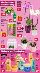 Gazetka promocyjna Thomas Philipps - Gazetka - ważna od 11.05 do 11.05.2024 - strona 13 - produkty: Bad, bio, Blüte, creme, dünger, erde, flasche, Gewächshaus, Gießkanne, Handseife, Kalanchoe, Körpercreme, orchidee, orchideen, Orchideenerde, Peeling, phalaenopsis, Rauch, rel, rind, salz, Seife, Ti, topf, übertopf, vita