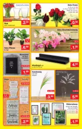 Gazetka promocyjna Zimmermann - Prospekte - Gazetka - ważna od 15.01 do 15.01.2022 - strona 5 - produkty: apfel, batterie, bilderrahmen, Blüte, buch, Holz, kirsch, LG, natur, pflanze, Rauch, regal, rosen, schrauben, Ti, topf, Vase, wandregal