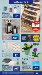 Gazetka promocyjna AldiSud - NÄCHSTE WOCHE - Gazetka - ważna od 22.10 do 22.10.2022 - strona 13 - produkty: alle artikel ohne dekoration, auer, Bau, baumwolle, casa deco, decke, dekokissen, dekoration, dell, eis, elle, ente, fleecedecke, gardenline®, gin, Holz, Kalanchoe, Kamin, kerze, kissen, laterne, Mett, Mode, orchidee, pflanze, pflanzen, reifen, reis, Schmetterling, schmetterlingsorchidee, Stufenmatten, Ti, Tiere, topf, übertopf, wolle, ZTE