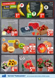 Gazetka promocyjna Edeka - Prospekte - Gazetka - ważna od 11.07 do 11.07.2026 - strona 4 - produkty: banane, bananen, Bau, bio, dahlie, decke, Deckel, deka, edeka bio, eis, elle, früchte, kirsch, kirsche, kirschen, kiwi, Kiwi Gold, payback, reis, tesa, Ti, tisch, zespri, ZTE