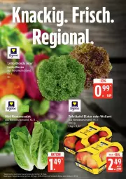 Gazetka promocyjna Edeka - Prospekte - Gazetka - ważna od 11.07 do 11.07.2026 - strona 7 - produkty: bio, deka, eis, reis, tafeläpfel, Ti, Wella, ZTE