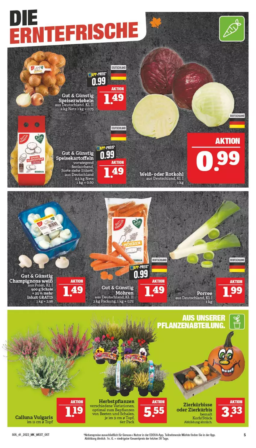 Aktueller Prospekt Marktkauf - Prospekt - von 09.10 bis 15.10.2022 - strona 9 - produkty: aktionspreis, champignon, champignons, deka, eis, kartoffel, kartoffeln, nuss, reis, rotkohl, speisekartoffeln, Ti, ZTE