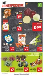 Gazetka promocyjna Marktkauf - Prospekt - Gazetka - ważna od 15.10 do 15.10.2022 - strona 9 - produkty: aktionspreis, champignon, champignons, deka, eis, kartoffel, kartoffeln, nuss, reis, rotkohl, speisekartoffeln, Ti, ZTE