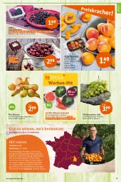 Gazetka promocyjna Tegut - Angebote der Woche - Gazetka - ważna od 16.07 do 16.07.2022 - strona 7 - produkty: angebot, angebote, aprikose, aprikosen, Bau, beere, beeren, bio, Birnen, dekoration, früchte, heidelbeere, heidelbeeren, kirsch, kirsche, kirschen, mac, melone, melonen, obst, Ria, ring, Schal, Schale, schnitten, Schutznetz, Ti, trauben, wasser, wassermelone, wassermelonen, wein