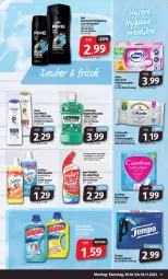 Gazetka promocyjna Markant - Prospekte - Gazetka - ważna od 04.11 do 04.11.2023 - strona 11 - produkty: bio, biozidprodukte, Bref, bref power, carefree, cottonelle, dove, elle, feuchtes toilettenpapier, flasche, kraft, listerine, mundspülung, papier, Rauch, rwe, shampoo, slip, slipeinlagen, Softlan, spülung, Tasche, taschen, taschentücher, Ti, toilettenpapier, tücher, weichspüler, zewa