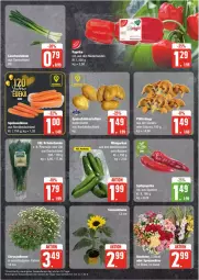 Gazetka promocyjna Edeka - Prospekte - Gazetka - ważna od 27.07 do 27.07.2024 - strona 9 - produkty: eier, eis, möhren, petersilie, Pfifferlinge, reis, speisemöhren, Ti, ZTE