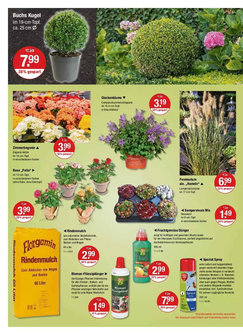 Aktueller Prospekt Vmarkt - V-Markt - von 08.09 bis 14.09.2022 - strona 20 - produkty: Begonia, Begonie, bio, biozidprodukte, blume, blumen, buch, Campanula, decke, dünger, flüssigdünger, frucht, Garten, Gartenpflanze, Hauswurz, Holz, im 9-cm-topf, kleid, Kleidung, Kugel, Lampe, Liege, natur, pflanze, pflanzen, Rauch, rind, rindenmulch, rwe, sekt, Sempervivum, Spezi, Ti, topf, übertopf