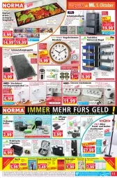 Gazetka promocyjna Norma - Norma - Gazetka - ważna od 11.10 do 11.10.2022 - strona 13 - produkty: adapter, akku, aufbewahrungsbox, auto, batterie, batterien, Bau, Bebe, beleuchtung, bett, beutel, blume, blumen, bodenstaubsauger, braun, Brei, buch, bürste, bürsten, cocktail, deka, dell, dip, Dipschale, edelstahl, eimer, eis, Eiskönigin, elle, Familienplaner, garnitur, gewürz, gin, handstaubsauger, Handtasche, Holz, Kehrgarnitur, korb, kraft, ladekabel, Läufer, led-beleuchtung, LG, matratze, Mett, mikrofaser, Mode, natur, ndk, regal, Reinigung, reis, Ria, Schal, Schale, Schmetterling, Schrank, schubladen, Schubladenturm, schuhe, Spiele, staubsauger, staubwedel, steckdose, Tasche, taschen, Taschenbuch, Teleskop, teppich, Ti, tisch, uhr, und matratze, usb, wanduhr, waschmaschine, waschmaschinen, wedel, werkzeug, ZTE