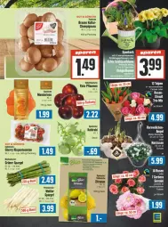 Gazetka promocyjna Edeka - Prospekte - Gazetka - ważna od 02.03 do 02.03.2024 - strona 5 - produkty: braun, champignon, champignons, grüner spargel, K2, kohlrabi, mandarine, mandarinen, Narzissen, pflanze, pflanzen, pflaume, pflaumen, rispentomaten, Schal, Schale, spargel, Ti, tomate, tomaten, trolli