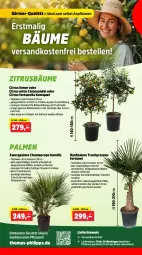 Gazetka promocyjna Thomas Philipps - Gazetka - ważna od 27.04 do 27.04.2024 - strona 6 - produkty: Blüte, citrus, decke, eis, elle, erde, frucht, hama, limo, messer, ndk, pflanze, pflanzen, ring, Ti, topf, usb, versandkostenfrei