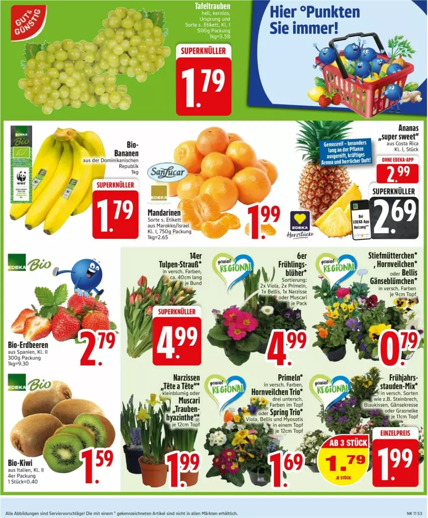 Aktueller Prospekt Edeka - Prospekte - von 10.03 bis 15.03.2025 - strona 5 - produkty: beere, beeren, bio, deka, eis, erdbeere, erdbeeren, kissen, kiwi, mandarine, mandarinen, Narzissen, Primeln, reis, ring, stauden, Ti, topf, trauben, Yo