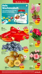 Gazetka promocyjna Penny - Prospekte - Gazetka - ważna od 04.01 do 04.01.2026 - strona 9 - produkty: beere, beeren, coupon, heidelbeere, heidelbeeren, kiwi, Schal, Schale, Ti, topf, zespri