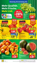 Gazetka promocyjna Lidl - Aktionsprospekt - Gazetka - ważna od 24.06 do 24.06.2023 - strona 42 - produkty: angebot, aprikose, aprikosen, bio, coupon, eis, elle, LG, melone, melonen, mit paprika, ndk, paprika, Rauch, reis, Schal, Schale, strauchtomaten, Ti, tomate, tomaten, trauben, wasser, wassermelone, wassermelonen