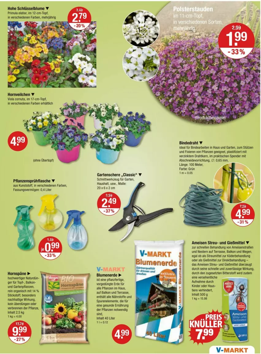 Aktueller Prospekt Vmarkt - Prospekte - von 29.02 bis 06.03.2024 - strona 17 - produkty: asti, blume, Draht, eis, elle, ente, erde, flasche, Garten, Gartenpflanze, Gartenschere, natur, pflanze, pflanzen, Schere, sprühflasche, Ti, tisch, topf, übertopf, werkzeug, ZTE