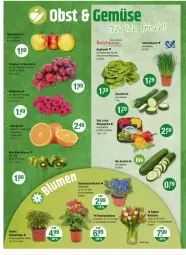 Gazetka promocyjna Vmarkt - Prospekte - Gazetka - ważna od 06.03 do 06.03.2024 - strona 4 - produkty: LG, paprika, Schal, Schale, Ti, topf