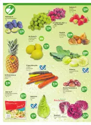 Gazetka promocyjna Vmarkt - V-Markt - Gazetka - ważna od 12.10 do 12.10.2022 - strona 4 - produkty: ananas, beere, beeren, beutel, bio, eis, eisbergsalat, erdbeere, erdbeeren, Esskastanien, früchte, kohlrabi, Kraut, möhren, monte, Physalis, Radicchio, salat, Schal, Schale, Ti, trauben, zitrone, zitronen