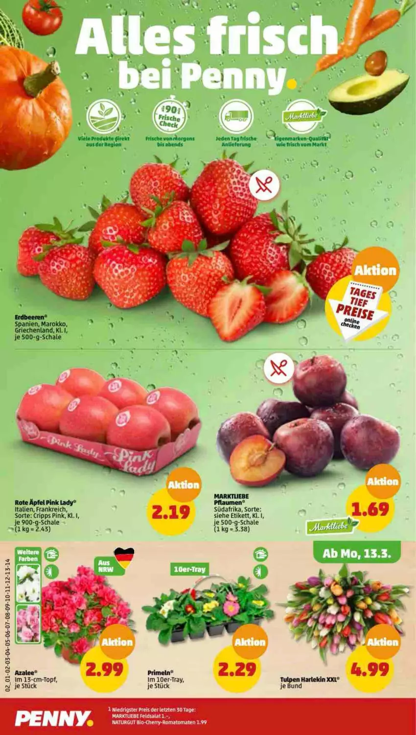 Aktueller Prospekt Penny - Prospekte - von 13.03 bis 18.03.2023 - strona 2 - produkty: beere, beeren, bio, erdbeere, erdbeeren, LG, natur, pflaume, pflaumen, Pink Lady, Romatomaten, Schal, Schale, Ti, tomate, tomaten, topf