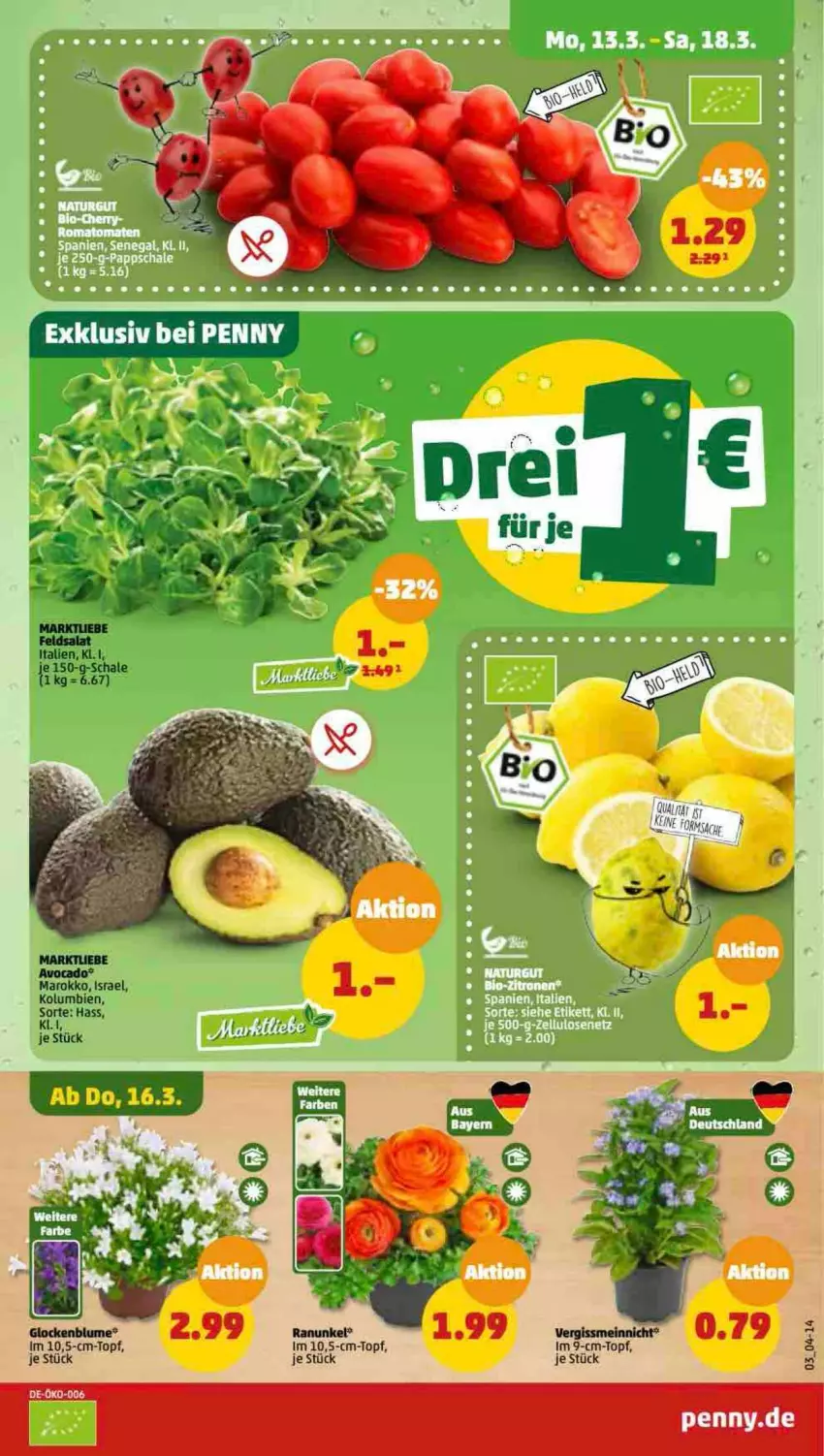 Aktueller Prospekt Penny - Prospekte - von 13.03 bis 18.03.2023 - strona 3 - produkty: avocado, im 9-cm-topf, Schal, Schale, Ti, topf
