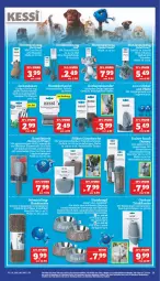 Gazetka promocyjna Marktkauf - Prospekt - Gazetka - ważna od 01.02 do 01.02.2025 - strona 37 - produkty: eis, reis, schuhe, Ti