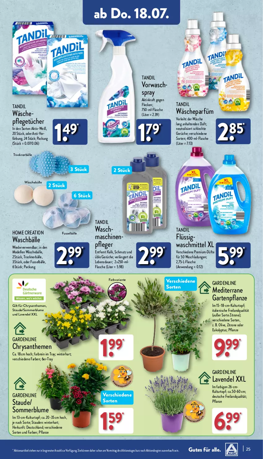 Aktueller Prospekt Aldi Nord - Von Montag - von 15.07 bis 20.07.2024 - strona 25 - produkty: auer, blume, Blüte, Brei, chrysanthemen, dell, elle, flasche, Garten, Gartenpflanze, gin, kraft, kulturtopf, lavendel, Mode, olive, pflanze, Ria, rwe, stauden, Ti, topf, Trockner, tücher, waschmittel, zitrone, ZTE