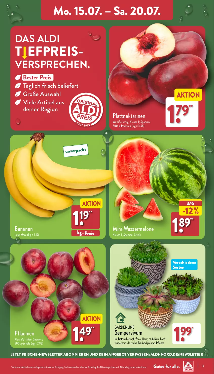 Aktueller Prospekt Aldi Nord - Von Montag - von 15.07 bis 20.07.2024 - strona 3 - produkty: aldi, angebot, banane, bananen, Blüte, Brei, eis, fleisch, gin, melone, Nektar, nektarinen, pflanze, pflaume, pflaumen, reis, Schal, Schale, Sempervivum, Ti, topf, übertopf, wasser, wassermelone, ZTE