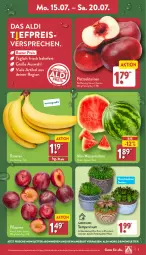 Gazetka promocyjna Aldi Nord - Von Montag - Gazetka - ważna od 20.07 do 20.07.2024 - strona 3 - produkty: aldi, angebot, banane, bananen, Blüte, Brei, eis, fleisch, gin, melone, Nektar, nektarinen, pflanze, pflaume, pflaumen, reis, Schal, Schale, Sempervivum, Ti, topf, übertopf, wasser, wassermelone, ZTE