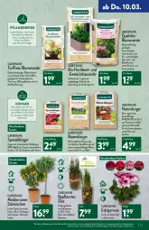 Gazetka promocyjna Aldi Nord - Aldi-Vorschau - Gazetka - ważna od 12.03 do 12.03.2022 - strona 23 - produkty: balkonpflanzen, beutel, bio, blume, blumen, blumenerde, Blüte, Brei, citrus, dekoration, dünger, elle, erde, Garten, Gartenpflanze, geranie, Gewächshaus, gewürz, gin, HP, K2, Konifere, kraft, kräuter, küche, Küchen, kulturtopf, lavendel, LG, natur, obst, Obst und Gemüse, olive, pflanze, pflanzen, rasen, rasendünger, Rauch, Ria, rosen, Spezi, Ti, topf, Topfen, und gemüse, ZTE