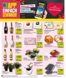 Gazetka promocyjna Diska - Prospekte - Gazetka - ważna od 11.02 do 11.02.2023 - strona 2 - produkty: aktionspreis, asti, baileys, beere, beeren, burger, cin, cinzano, eier, eierlikör, eis, ferrero, Ferrero Küsschen, fisch, flasche, gewinnspiel, gin, gutschein, heidelbeere, heidelbeeren, himbeer, himbeere, himbeeren, hortensie, irish cream, likör, lindt, merci, Mett, orchidee, pralinen, reis, saro, sarotti, Schal, Schale, Schmetterling, schmetterlingsorchidee, storck, Ti, topf, Trüffel, verpoorten, ZTE